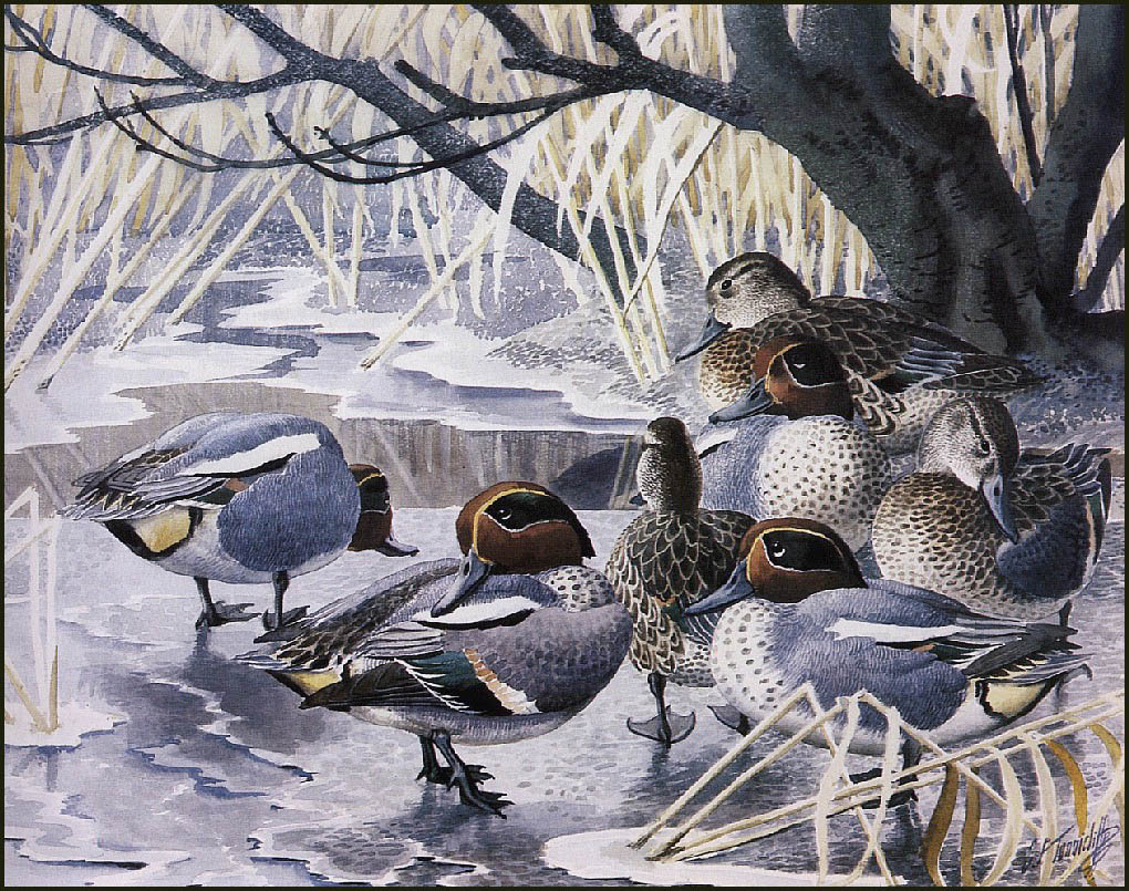 http://uploads6.wikiart.org/images/charles-tunnicliffe/teal(1).jpg