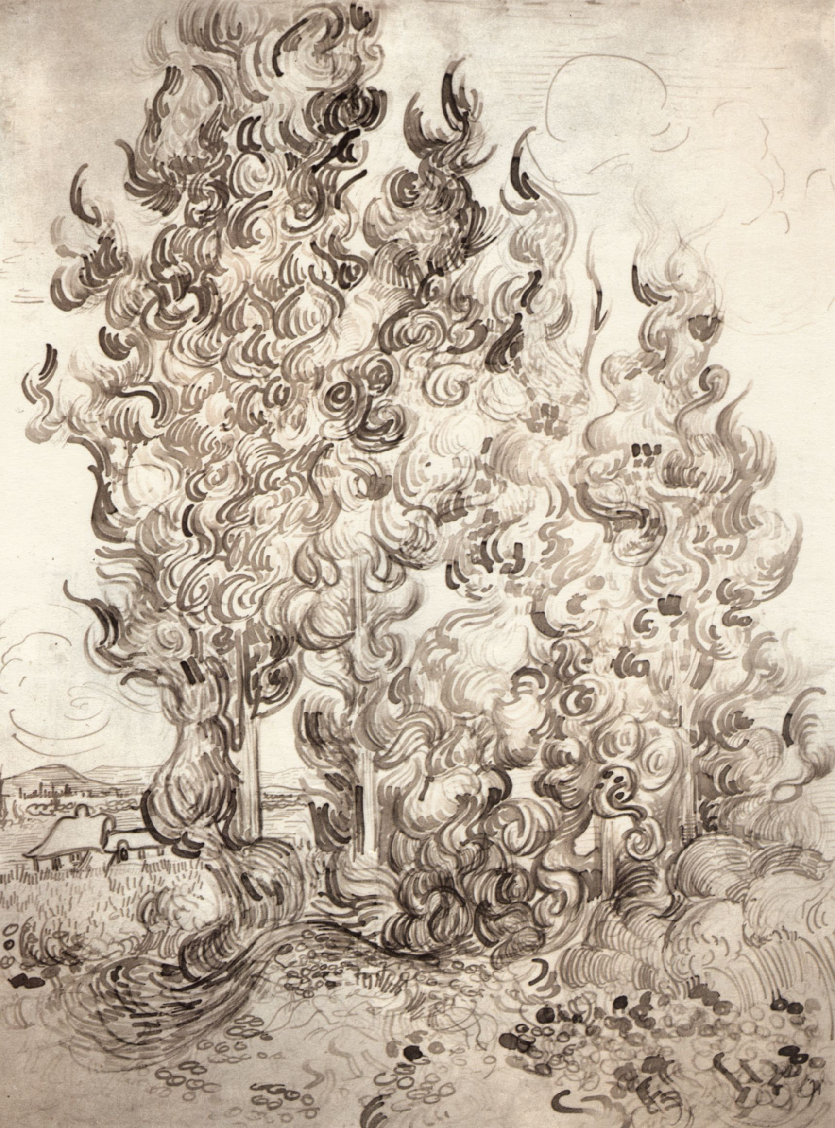 Cypresses Vincent Van Gogh Encyclopedia Of Visual Arts 1891