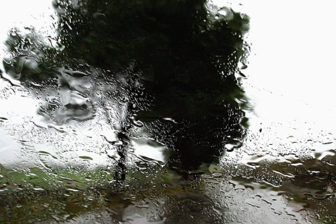 Rain, 2006 - Abbas Kiarostami