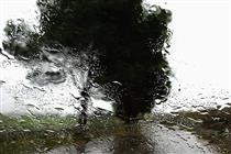 Rain - Abbas Kiarostami