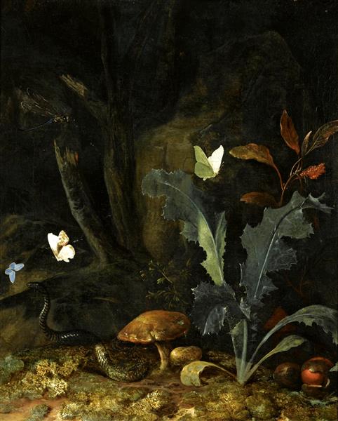 Nocturnal Forest Landscape with a Thistle, Chestnuts and Mushrooms - Otto Marseus van Schrieck