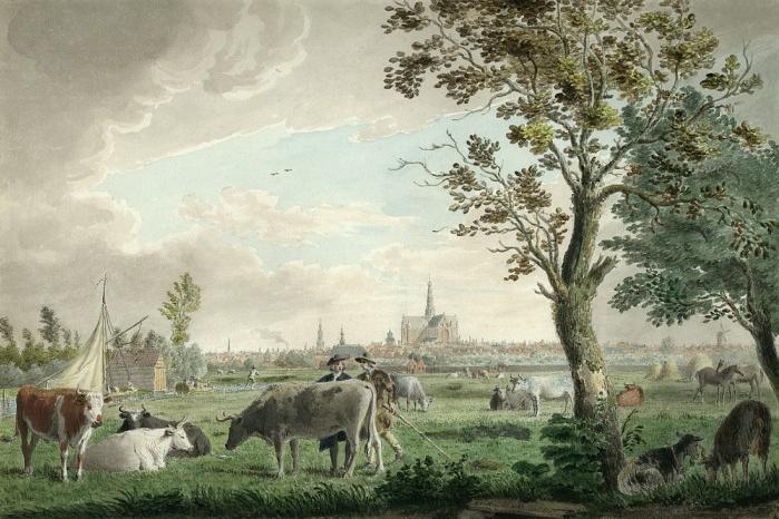 View of Haarlem from the Brouwersvaart, 1767 - Cornelis van Noorde