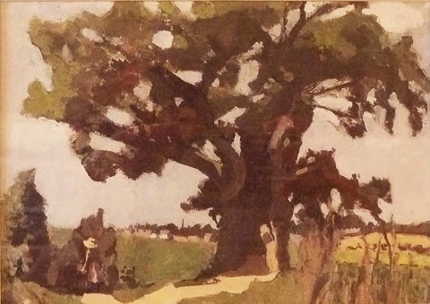 Blasted Oak, Bohain, 1903 - Анри Матисс