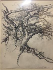 Old tree - Mihai Sârbulescu