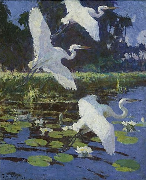 Great White Herons, 1923 - Фрэнк Бенсон