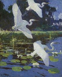 Great White Herons - Фрэнк Бенсон