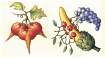 Fruit from "Codex Seraphinianus" - Luigi Serafini