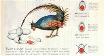 Rooster from "Codex Seraphinianus" - 路易吉·塞拉菲尼