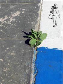 La Plante Persistante - Youssef Amghar