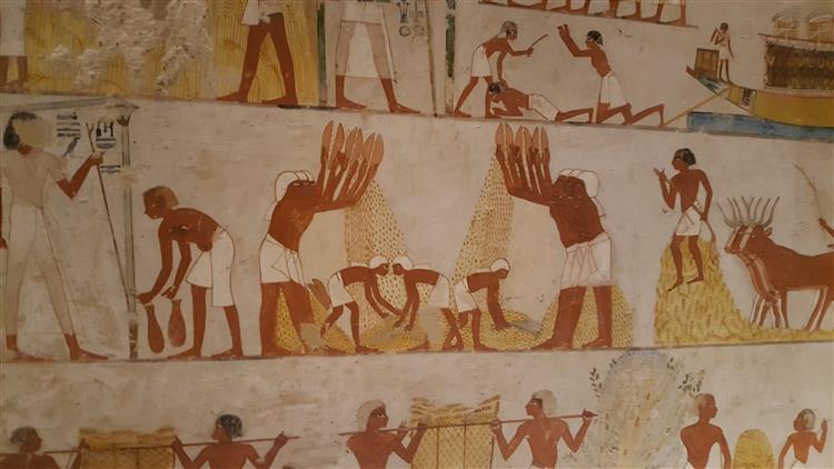 Harvest Scenes, c.1422 - c.1411 公元前 - 古埃及