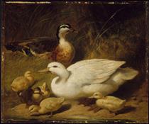Ducks and Ducklings - John Frederick Herring Sr.