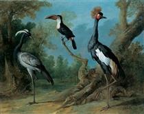 Demoiselle Crane, Toucan, and Tufted Crane - Jean-Baptiste Oudry