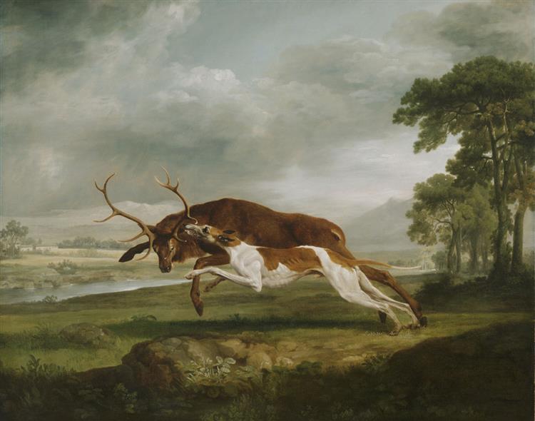 Hound Coursing a Stag, 1762 - George Stubbs