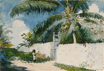 A Garden in Nassau - Winslow Homer