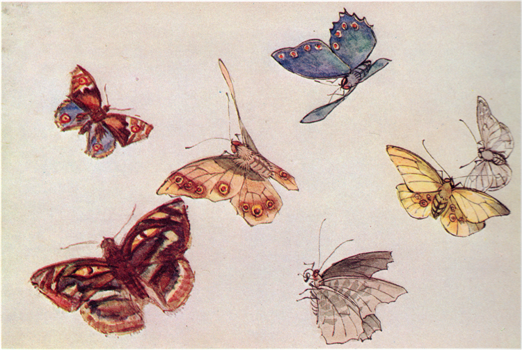From the Notebooks Mourning for Butterflies, 1906 - 藤島武二