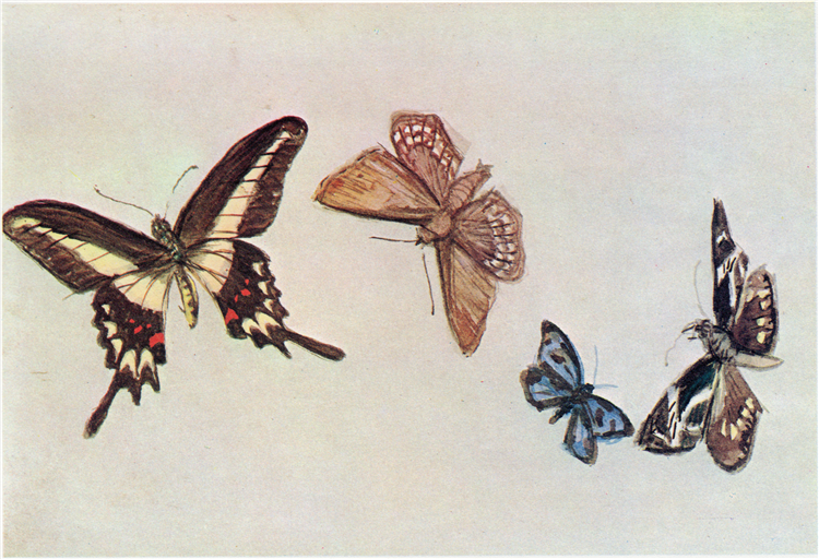 From the Notebooks Mourning for Butterflies, 1906 - 藤島武二