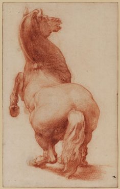 Rearing Horse - Francesco de' Rossi (Francesco Salviati), "Cecchino"