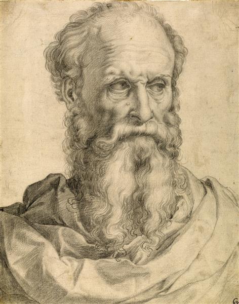 Head and Shoulders of a Bearded Man, 1549 - Francesco de' Rossi (Francesco Salviati), "Cecchino"