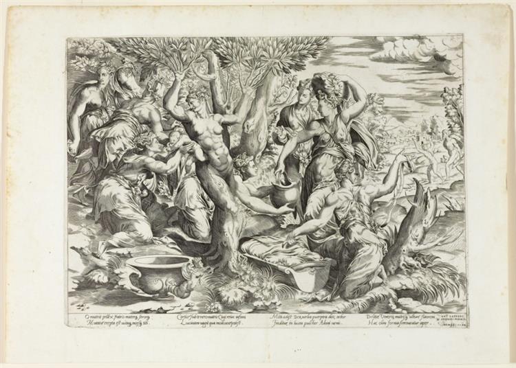Naissance d'Adonis, 1544 - Francesco de' Rossi (Francesco Salviati), "Cecchino"