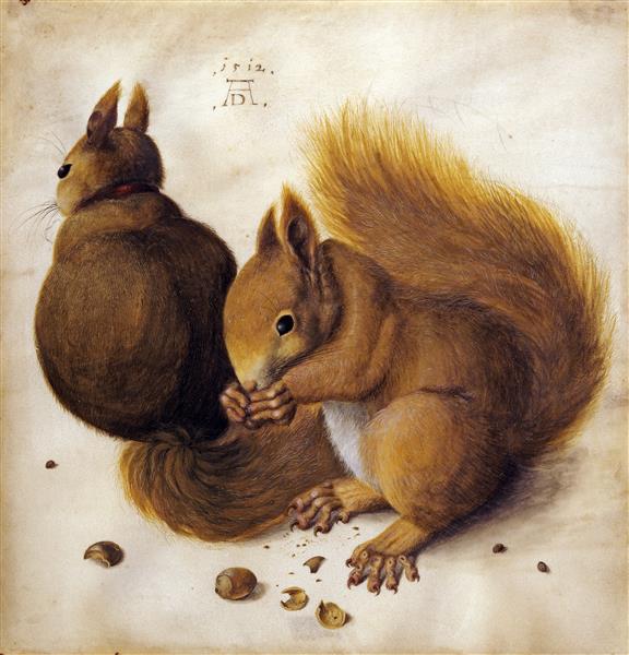 Two squirrels, 1492 - Albrecht Durer