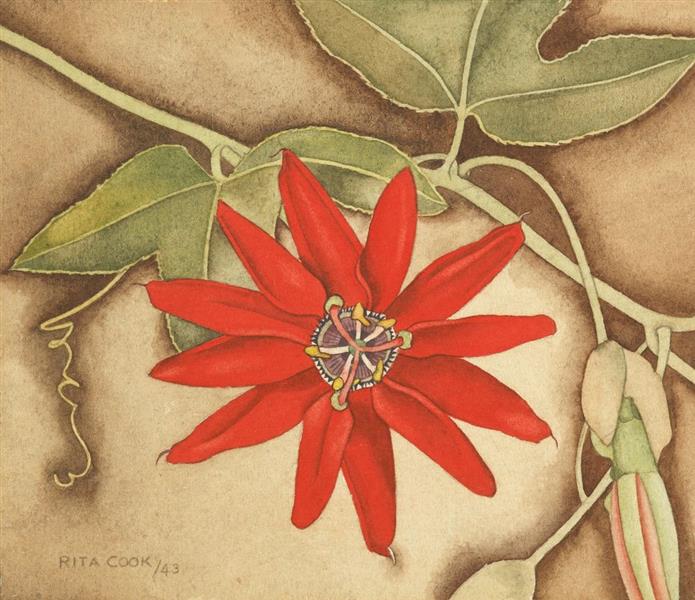 Passionflower, 1943 - Rita Angus