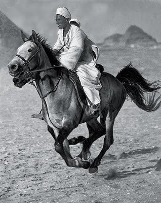 The Bedouin Egypt, 1929 - Martin Munkácsi