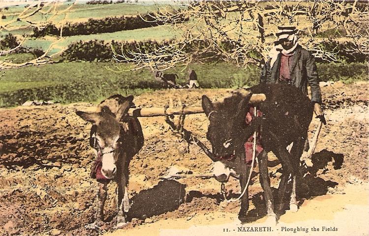 Ploughing the Field, Nazareth, c.1920 - Karimeh Abbud