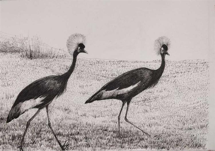 Black crowned crane, 2018 - Iman Shaggag