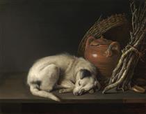 Dog at Rest - Gerrit Dou