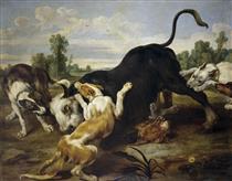 Bull subdued by dogs - Paul de Vos