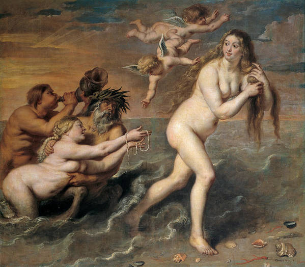 The Birth of Venus - Cornelis de Vos