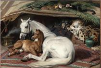 The Arab Tent - Edwin Henry Landseer