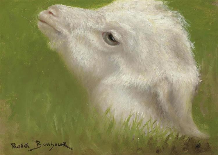 Head of a Lamb - Rosa Bonheur