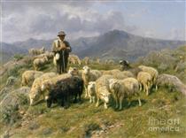 Shepherd of the Pyrenees - Роза Бонёр