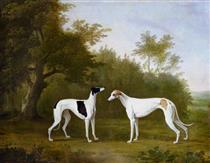 Two Greyhounds in a Wooded Landscape - John Boultbee