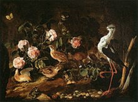 Still Life with An Owl and An Ibis - Paolo Porpora