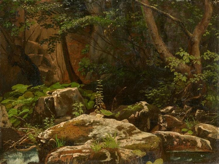 Forest Landscape with Boulders - Johann Wilhelm Schirmer