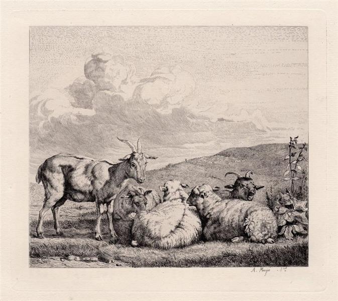 Sheep and Goat - Karel Dujardin
