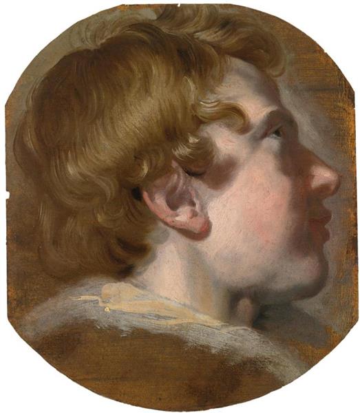 Study of a boy's head - Pieter van Mol
