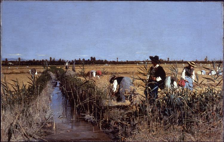 The rice harvest in the Verona area, 1877 - 1878 - Giacomo Favretto