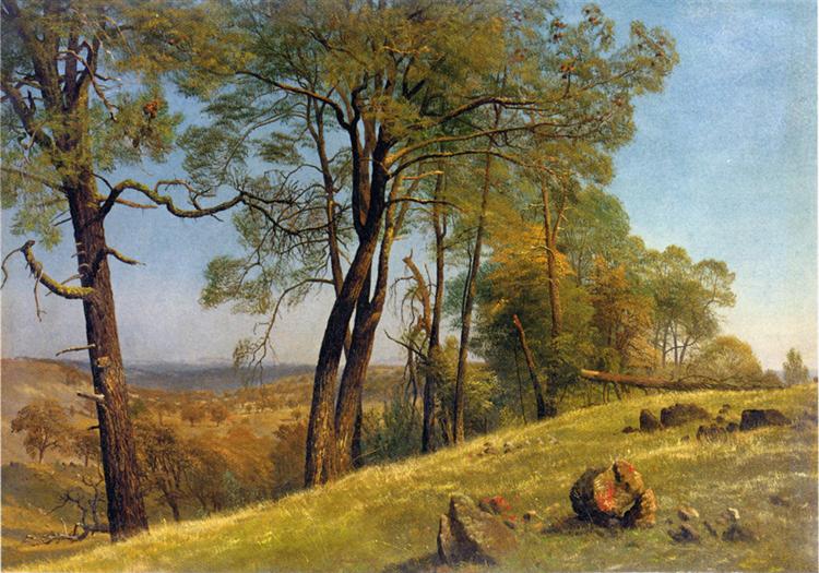 Landscape, Rockland County, California, c.1872 - Альберт Бірштадт