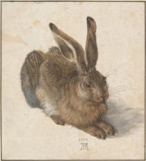 Hare - Albrecht Dürer