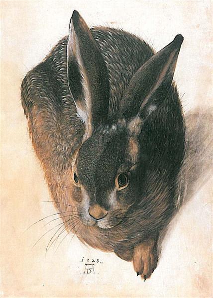 Hare, 1528 - Albrecht Durer