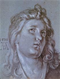 Head of an Angel - Albrecht Dürer