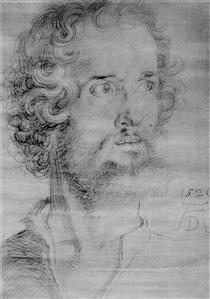 Head of St. Mark - Albrecht Dürer