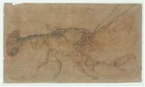 Lobster - Albrecht Dürer