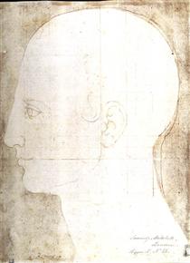 Man's head in profile - Albrecht Durer