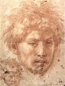 Head of a Young Man - Andrea del Sarto