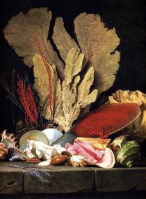 Still-Life with Tuft of Marine Plants, Shells and Corals - Анна Валайер-Костер