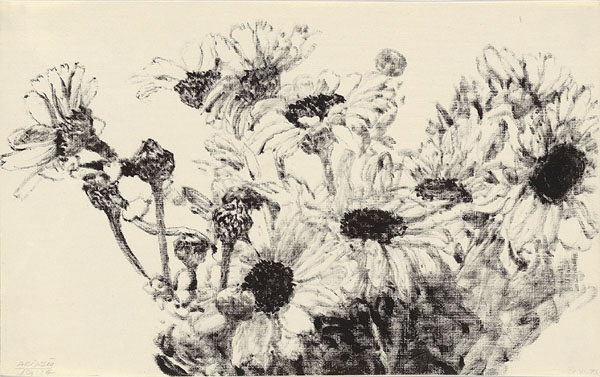 Daisies, 1973 - Avigdor Arikha